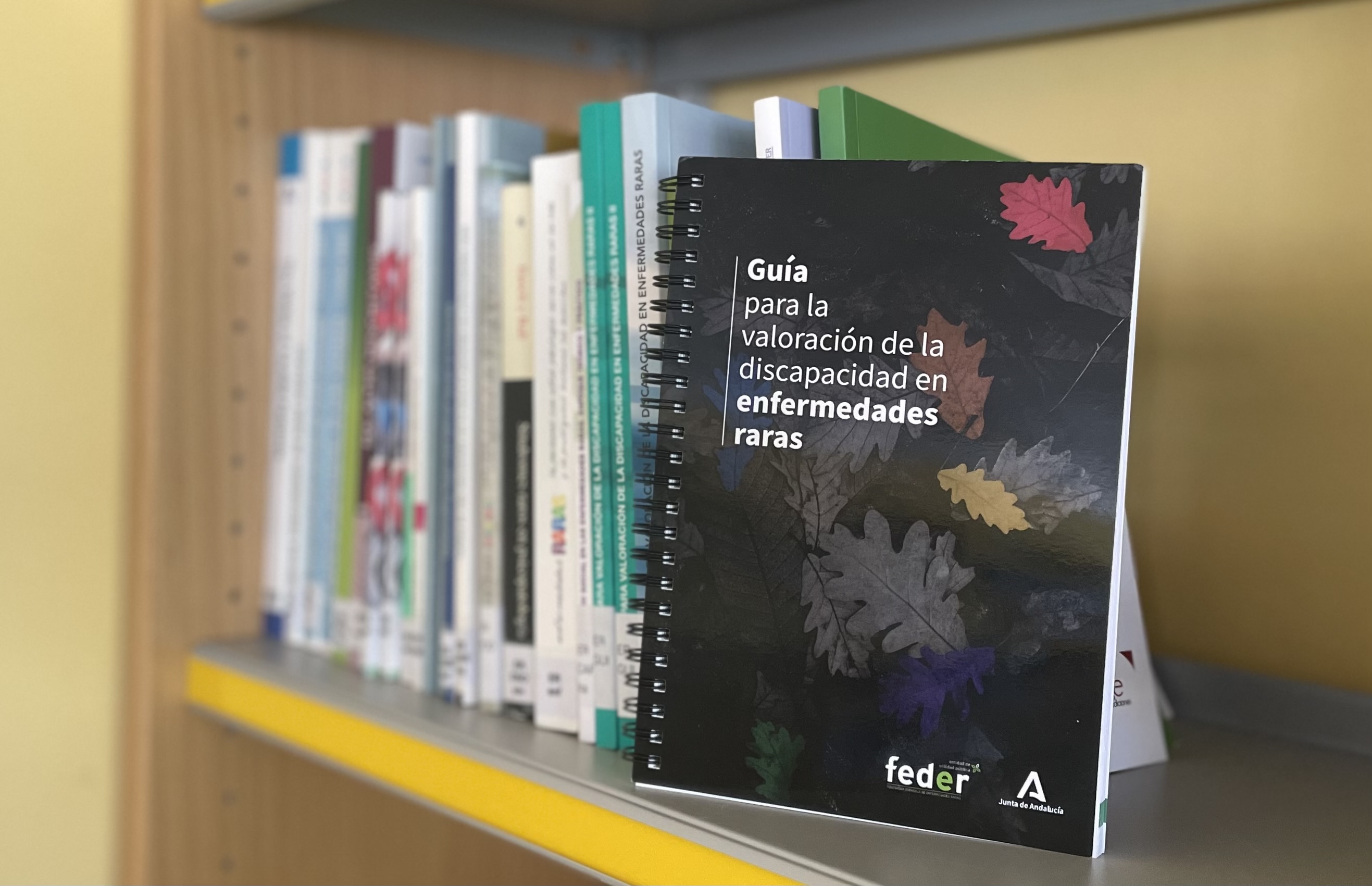 Guía para la valoración de la discapacidad en enfermedades raras