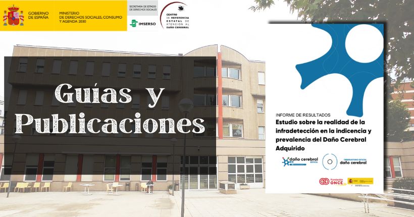 Estudio sobre la realidad de la infradetección en la incidencia y prevalencia del Daño Cerebral Adquirido