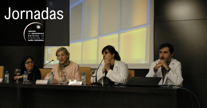 IX Jornada INSS-Ceadac Epilepsia y Daño Cerebral