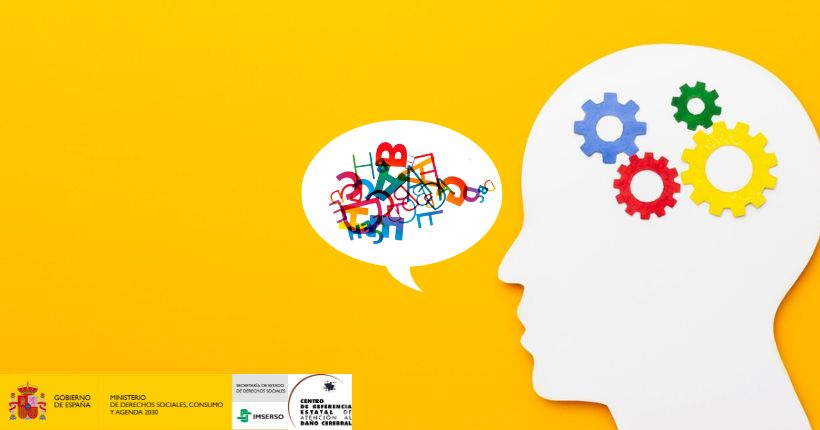 Desentrañando los mecanismos de neuroplasticidad en la recuperación del lenguaje post-ictus