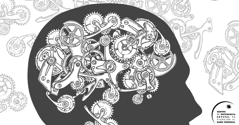 Proyecto de investigación «Sensibilidad y función»